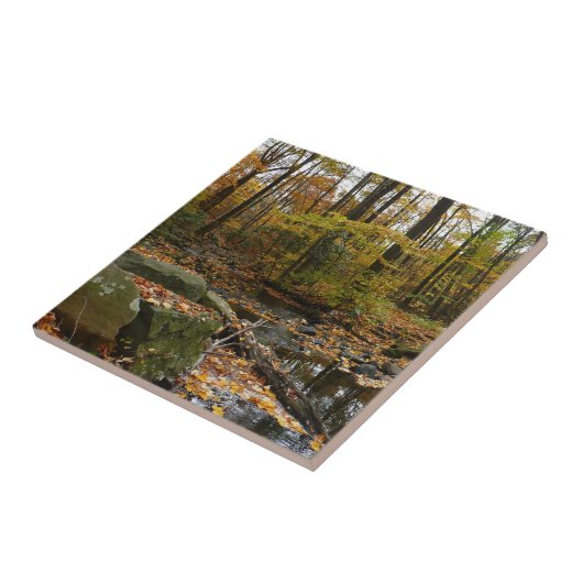 Fall Creek mit Blick auf den Laurel Hill Park Fliese (Seite)