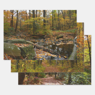 Fall Creek mit Blick auf den Laurel Hill Park Geschenkpapier Set