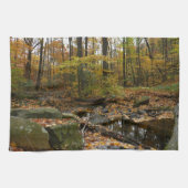 Fall Creek mit Blick auf den Laurel Hill Park Geschirrtuch (Horizontal)