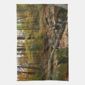 Fall Creek mit Blick auf den Laurel Hill Park Geschirrtuch (Vertikal)