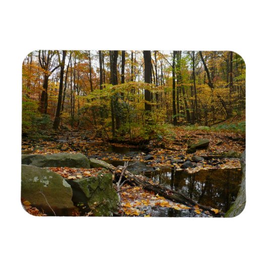 Fall Creek mit Blick auf den Laurel Hill Park Magnet (Horizontal)