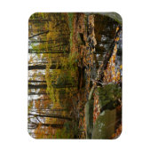 Fall Creek mit Blick auf den Laurel Hill Park Magnet (Vertikal)