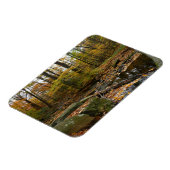 Fall Creek mit Blick auf den Laurel Hill Park Magnet (Linke Seite)