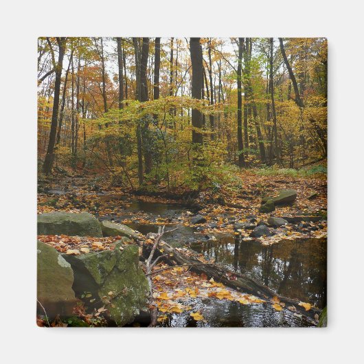 Fall Creek mit Blick auf den Laurel Hill Park Magnet (Vorne)