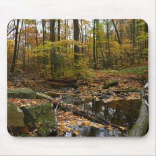 Fall Creek mit Blick auf den Laurel Hill Park Mousepad