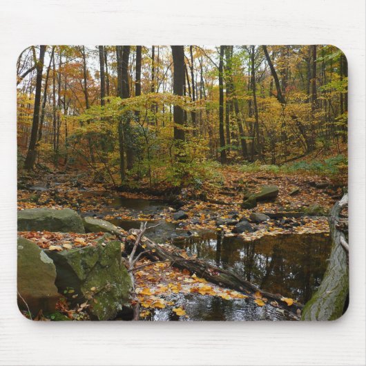Fall Creek mit Blick auf den Laurel Hill Park Mousepad (Vorne)
