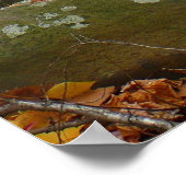 Fall Creek mit Blick auf den Laurel Hill Park Poster (Ecke)