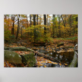Fall Creek mit Blick auf den Laurel Hill Park Poster (Vorne)