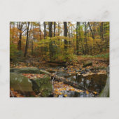 Fall Creek mit Blick auf den Laurel Hill Park Postkarte (Vorderseite)