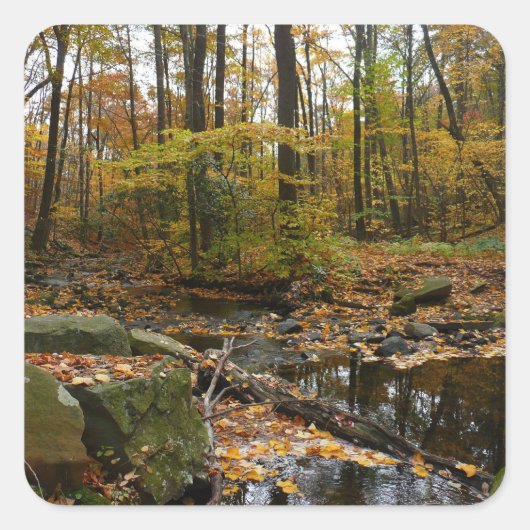 Fall Creek mit Blick auf den Laurel Hill Park Quadratischer Aufkleber (Vorderseite)