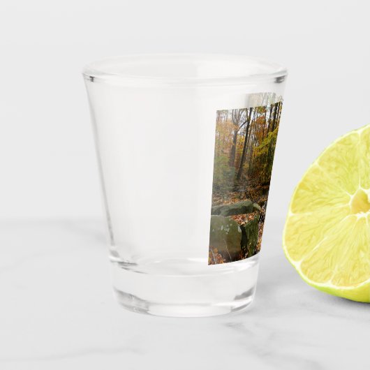 Fall Creek mit Blick auf den Laurel Hill Park Schnapsglas (Links)