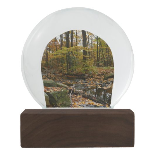 Fall Creek mit Blick auf den Laurel Hill Park Schneekugel (Rückseite)