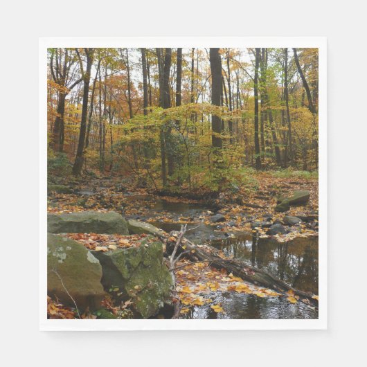 Fall Creek mit Blick auf den Laurel Hill Park Serviette (Vorderseite)
