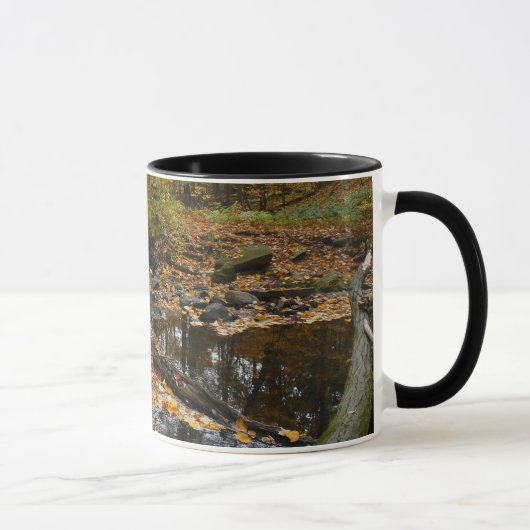 Fall Creek mit Blick auf den Laurel Hill Park Tasse (Rechts)