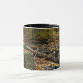 Fall Creek mit Blick auf den Laurel Hill Park Tasse (Zentrum)