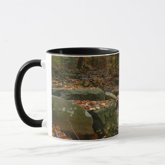 Fall Creek mit Blick auf den Laurel Hill Park Tasse (Links)