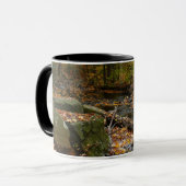 Fall Creek mit Blick auf den Laurel Hill Park Tasse (Vorderseite Links)