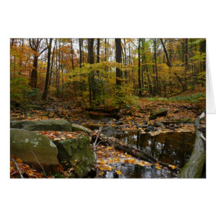 Fall Creek mit Spiegelung im Laurel Hill Park