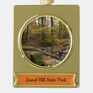 Fall Creek mit Spiegelung im Laurel Hill Park Banner-Ornament Gold