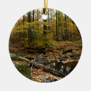 Fall Creek mit Spiegelung im Laurel Hill Park Keramik Ornament