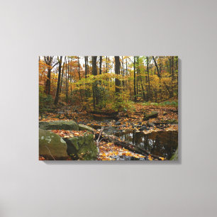 Fall Creek mit Spiegelung im Laurel Hill Park Leinwanddruck