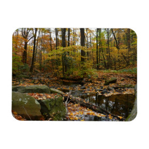 Fall Creek mit Spiegelung im Laurel Hill Park Magnet