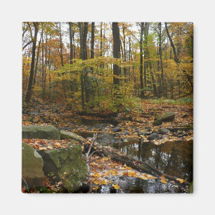 Fall Creek mit Spiegelung im Laurel Hill Park Magnet