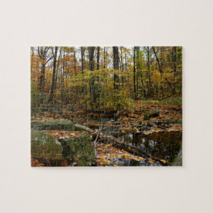 Fall Creek mit Spiegelung im Laurel Hill Park Puzzle