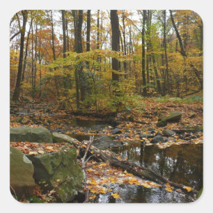 Fall Creek mit Spiegelung im Laurel Hill Park Quadratischer Aufkleber