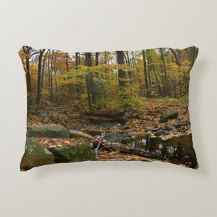 Fall Creek mit Spiegelung im Laurel Hill Park Zierkissen