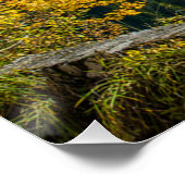 Fall Dachstein Berg reflektiert in Gosausee Lak Poster (Ecke)