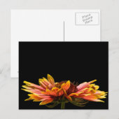 Fall Daisy Blume Postcard Postkarte (Vorne/Hinten)