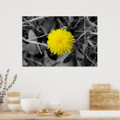 Fall Dandelion Poster (Küche)