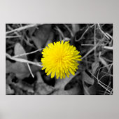 Fall Dandelion Poster (Vorne)
