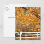 Fall Day postcard Postkarte (Vorne/Hinten)