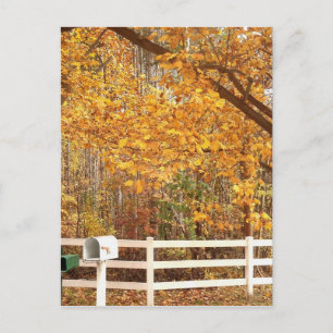 Fall Day postcard Postkarte
