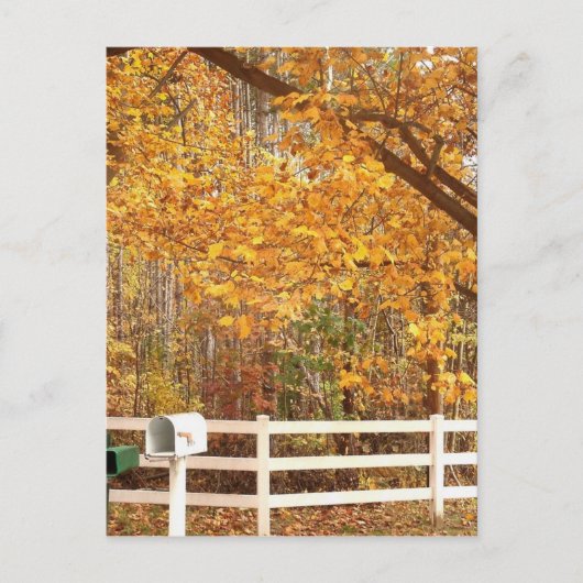 Fall Day postcard Postkarte (Vorderseite)