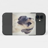 Fall des Mastiff-iPhone5 Case-Mate iPhone Hülle (Rückseite (Horizontal))