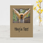 Fall dort im Gibbon-Affen mit Arm-Verbreitung Karte (Gelbe Blume)