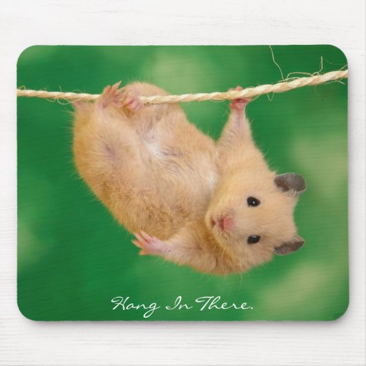 Fall dort im Hamster Mousepad (Vorne)