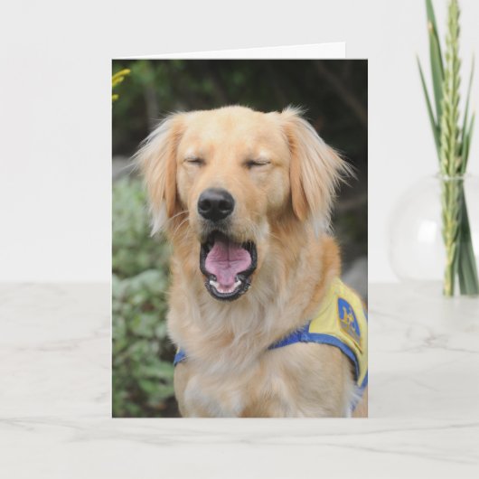 Fall dort in der Gruß-Karte Karte (Vorderseite)