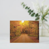 Fall Drive Color Tour Postkarte (Stehend Vorderseite)
