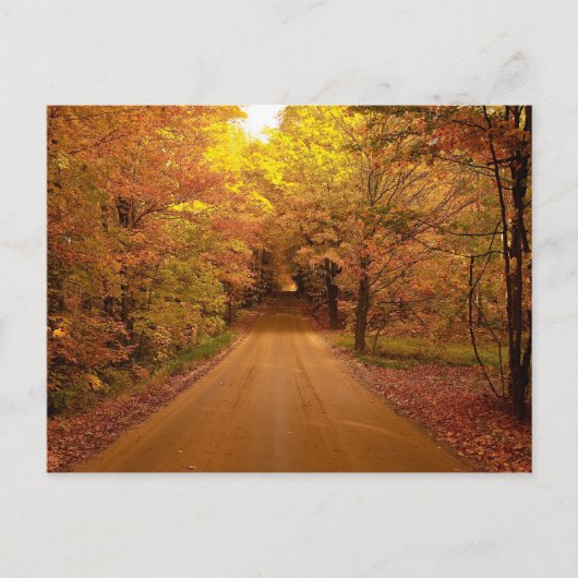 Fall Drive Color Tour Postkarte (Vorderseite)