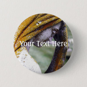 Fall einer ruhigen Zwischenlösung Button