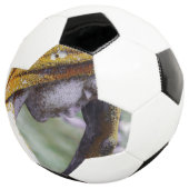 Fall einer ruhigen Zwischenlösung Fußball (Dreiviertel)