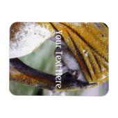 Fall einer ruhigen Zwischenlösung Magnet (Horizontal)