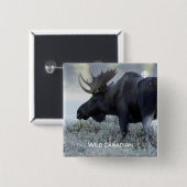 Fall - Elch Button (Vorne & Hinten)