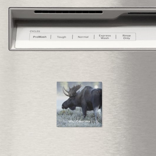 Fall - Elch Magnet (In Situ (Geschirrspüler))