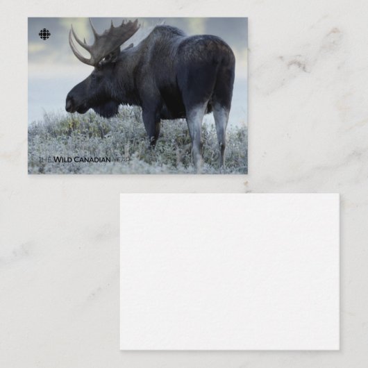 Fall - Elch Mitteilungskarte (Vorne/Hinten)