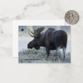 Fall - Elch Mitteilungskarte (Vorderseite/Rückseite Beispiel)